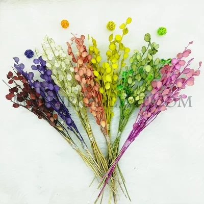 رنگبندی گل خشک سکه ای تک شاخه مطابق با تصویر