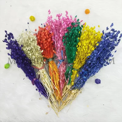 رنگبندی گل خشک مدل گل جغجغه ای