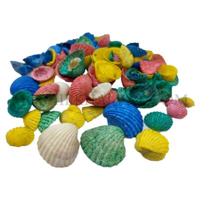 یک مشت صدف شمال رنگی