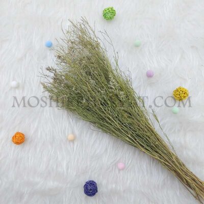 حجم یک دسته گل خشک برفکی