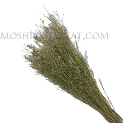 گل خشک مدل برفکی