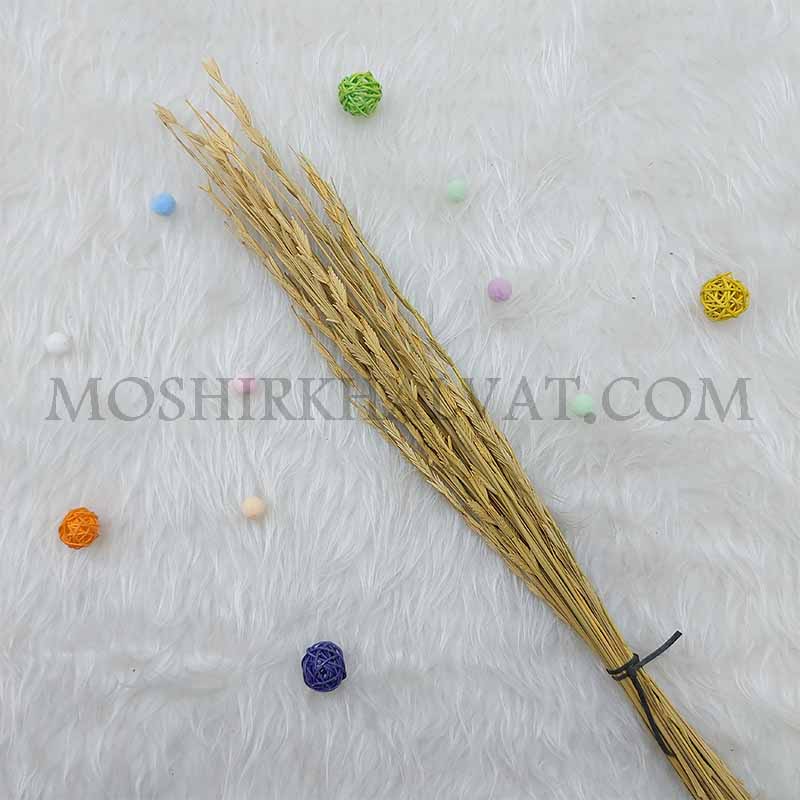 گل خشک پنجه ای 2 یک دسته گل خشک مدل پنجه ای