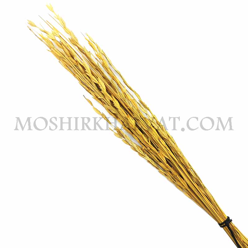 گل خشک پنجه ای گل خشک مدل پنجه ای
