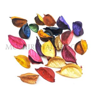 یک بسته گل خشک رنگی